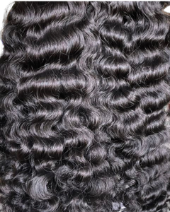 Burmese (Curly)